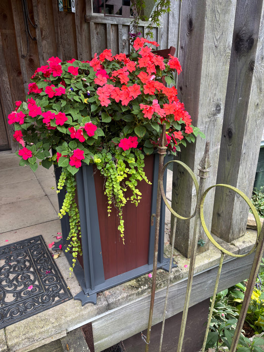 DUX Square Planter, 18"x 18"x24" high