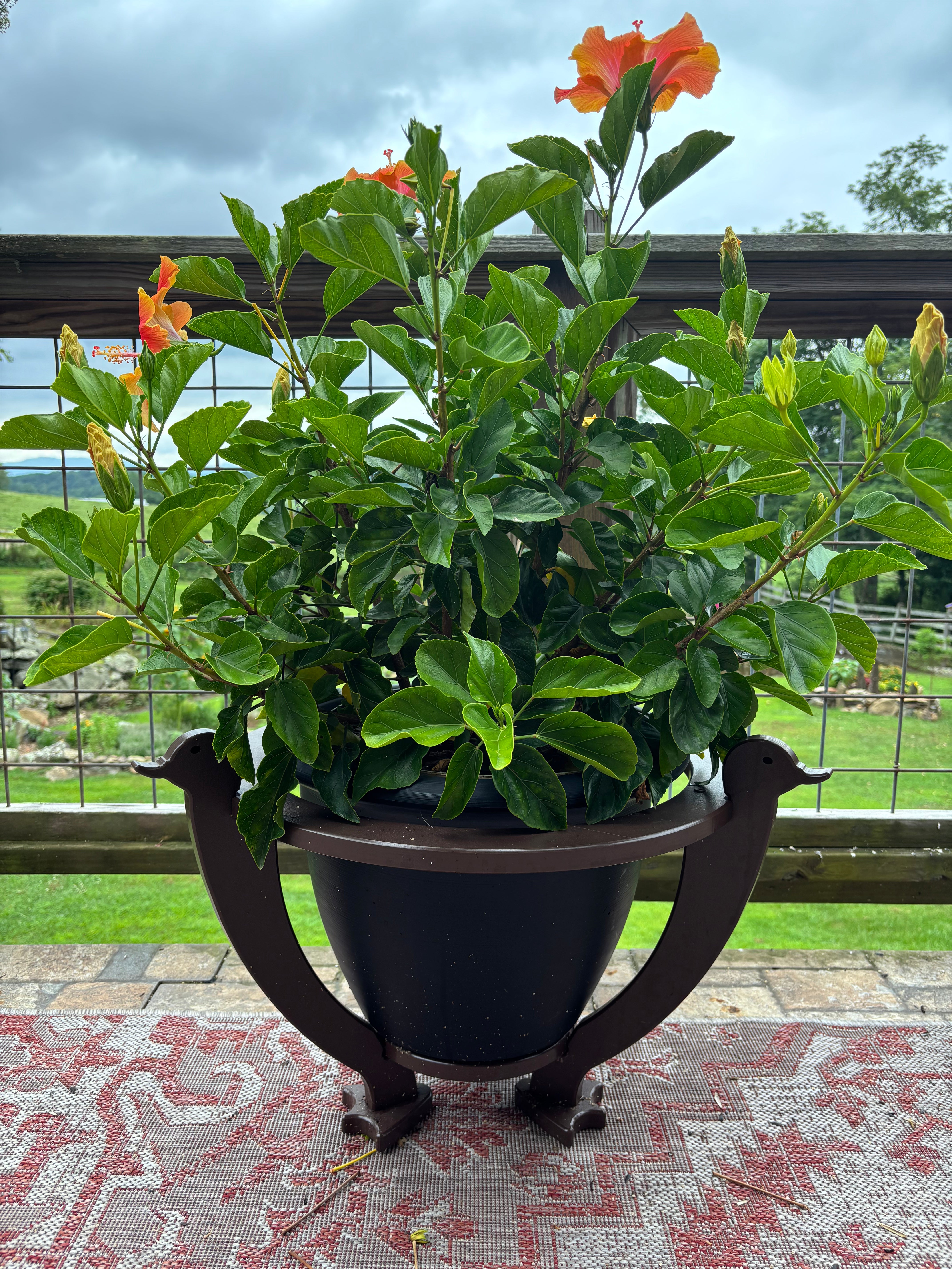 Piazza Planter